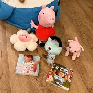 Book & plush  Toy Set with Pig and Flower mix brand